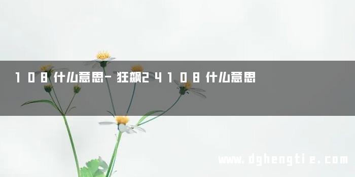 108什么意思-狂飙24108什么意思