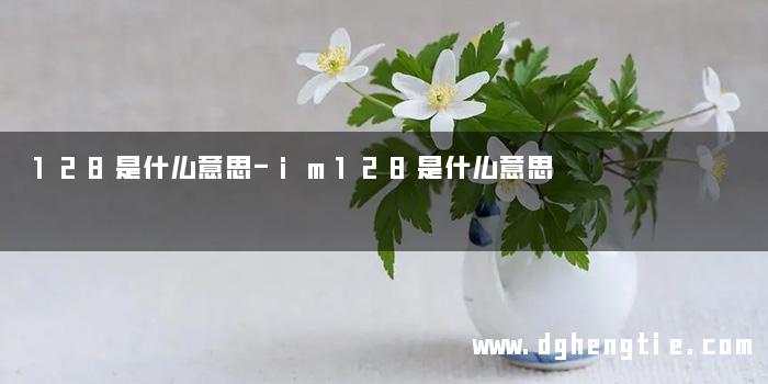 128是什么意思-im128是什么意思