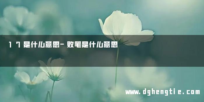 17是什么意思-败笔是什么意思