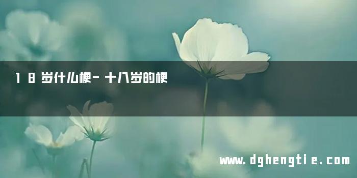 18岁什么梗-十八岁的梗