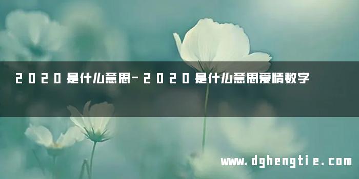 2020是什么意思-2020是什么意思爱情数字