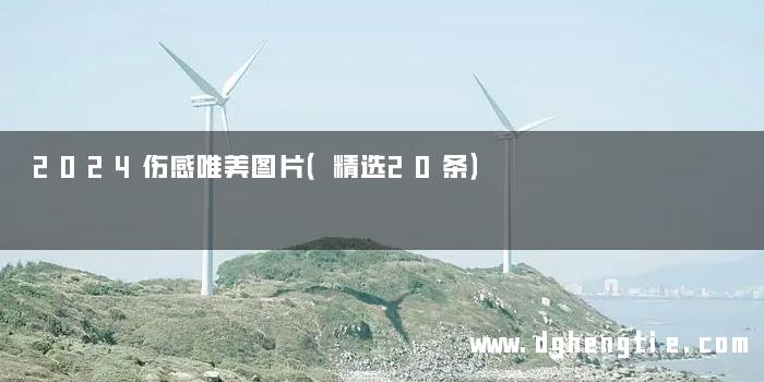 2024伤感唯美图片（精选20条）