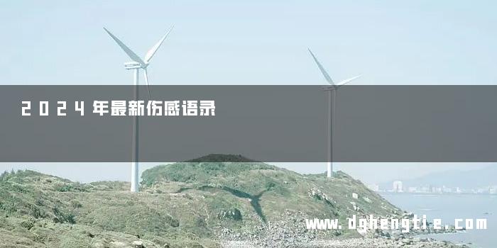 2024年最新伤感语录