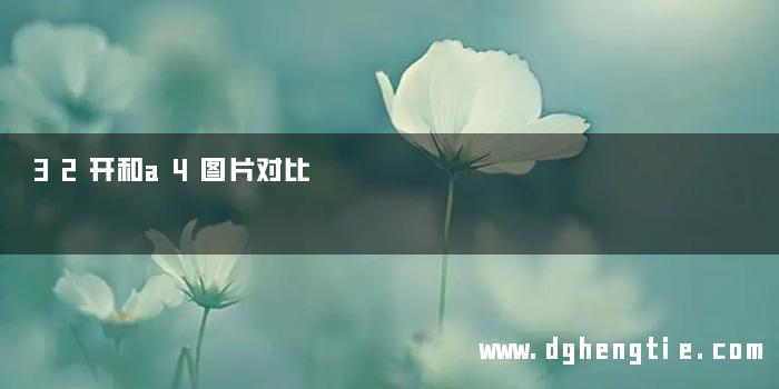 32开和a4图片对比