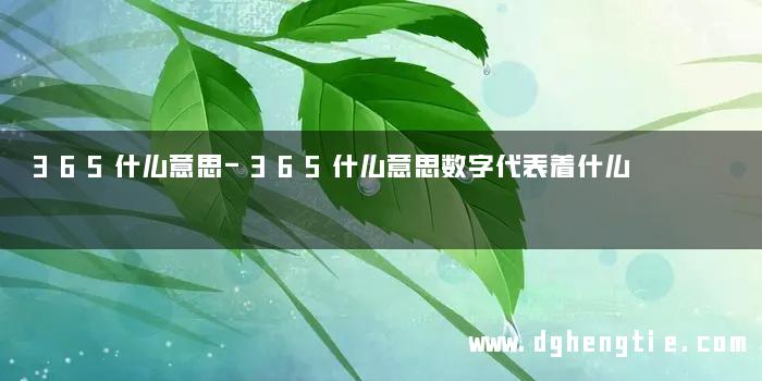 365什么意思-365什么意思数字代表着什么