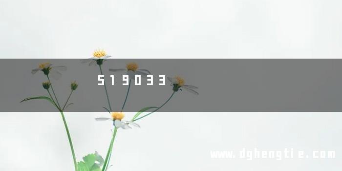 519033