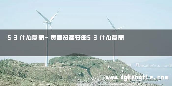 53什么意思-黄盖汾酒夺命53什么意思