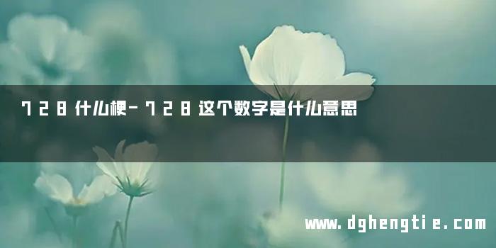 728什么梗-728这个数字是什么意思