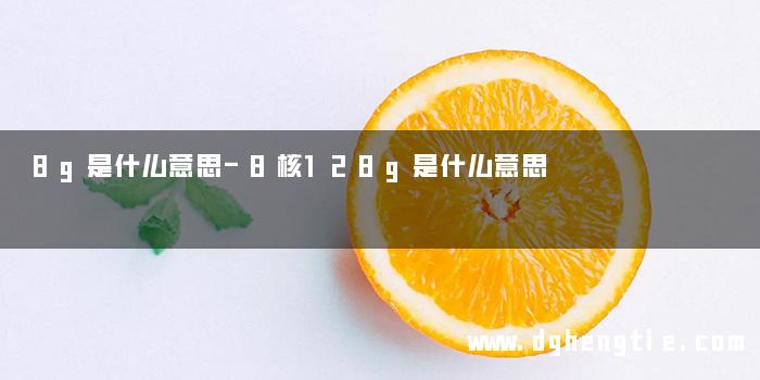 8g是什么意思-8核128g是什么意思