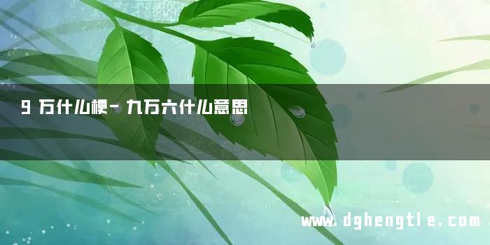 9万什么梗-九万六什么意思