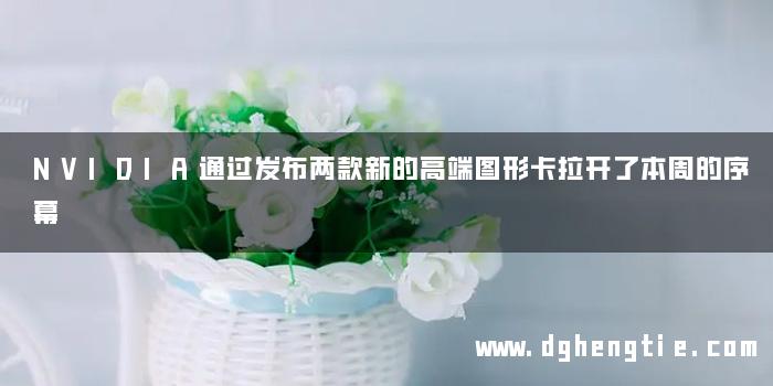 NVIDIA通过发布两款新的高端图形卡拉开了本周的序幕