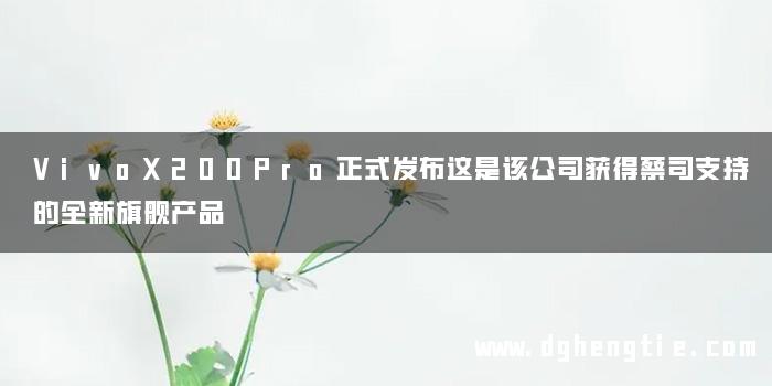 VivoX200Pro正式发布这是该公司获得蔡司支持的全新旗舰产品