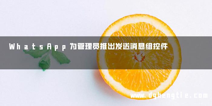 WhatsApp为管理员推出发送消息组控件