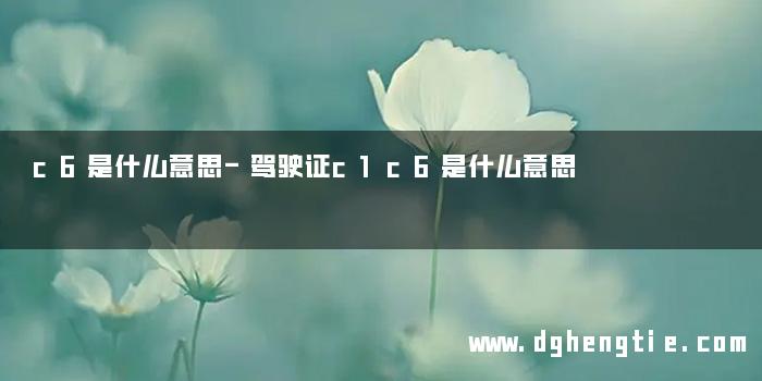 c6是什么意思-驾驶证c1c6是什么意思