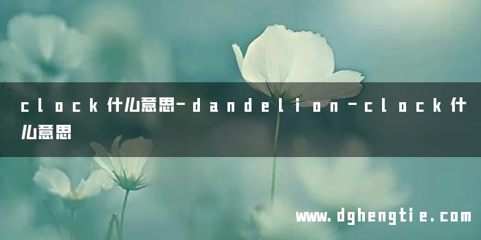 clock什么意思-dandelion-clock什么意思