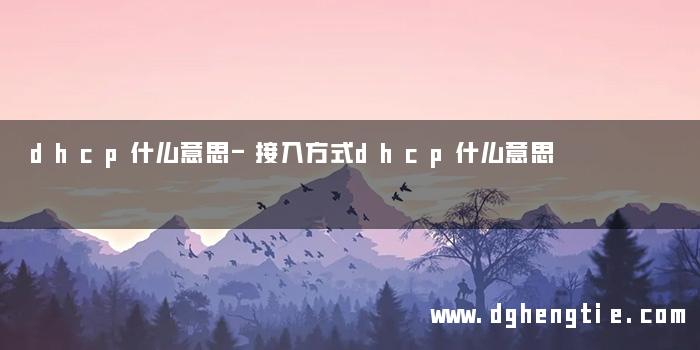 dhcp什么意思-接入方式dhcp什么意思