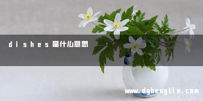 dishes是什么意思