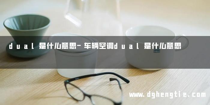 dual是什么意思-车辆空调dual是什么意思