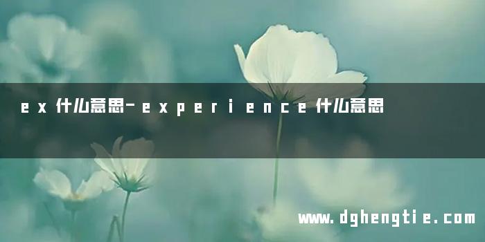 ex什么意思-experience什么意思