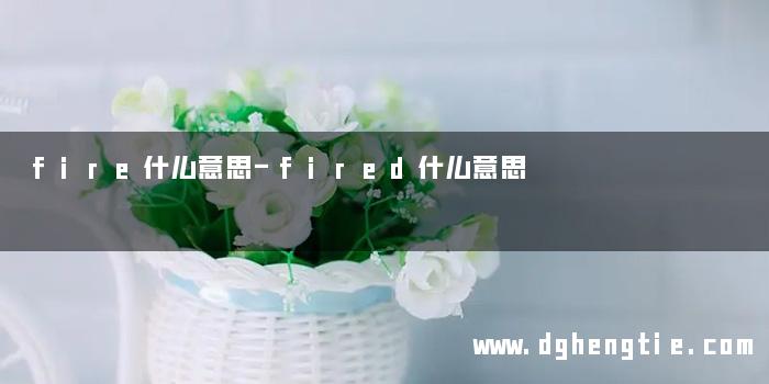 fire什么意思-fired什么意思