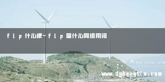 flp什么梗-flp是什么网络用词