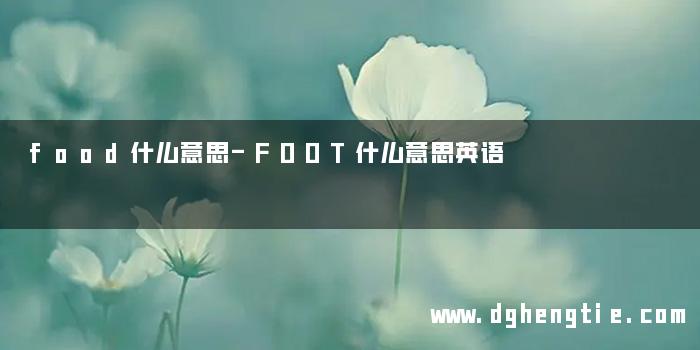 food什么意思-FOOT什么意思英语