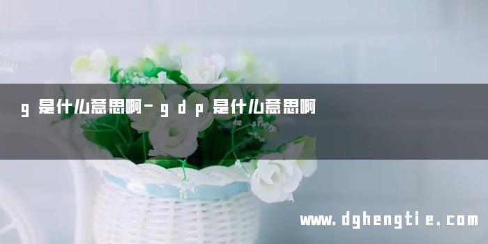 g是什么意思啊-gdp是什么意思啊