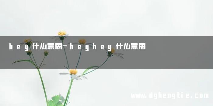 hey什么意思-heyhey什么意思