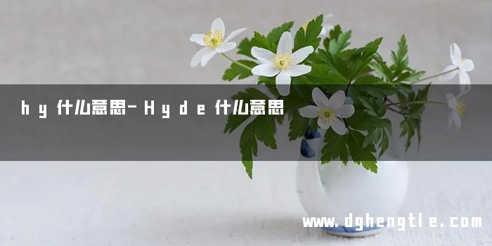 hy什么意思-Hyde什么意思