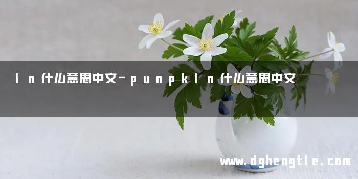 in什么意思中文-punpkin什么意思中文