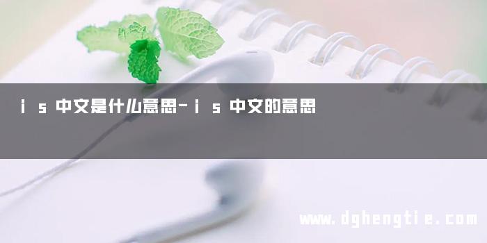 is中文是什么意思-is中文的意思