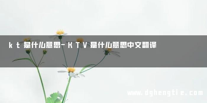 kt是什么意思-KTV是什么意思中文翻译