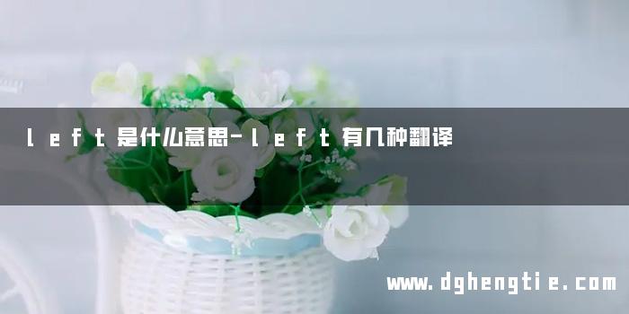 left是什么意思-left有几种翻译