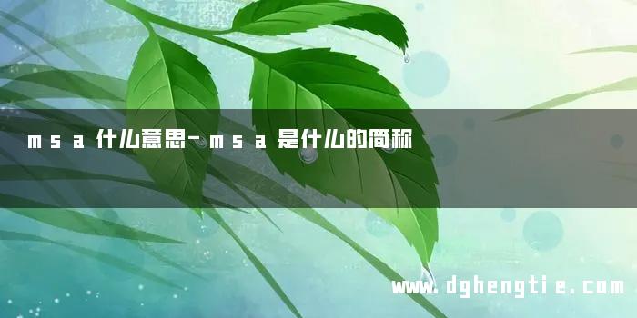 msa什么意思-msa是什么的简称
