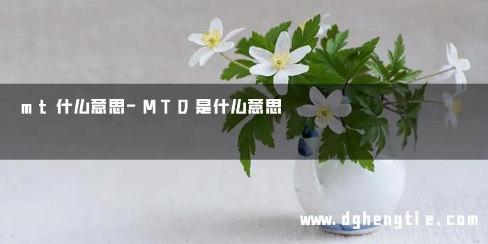 mt什么意思-MTD是什么意思
