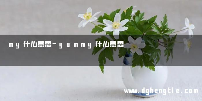 my什么意思-yummy什么意思