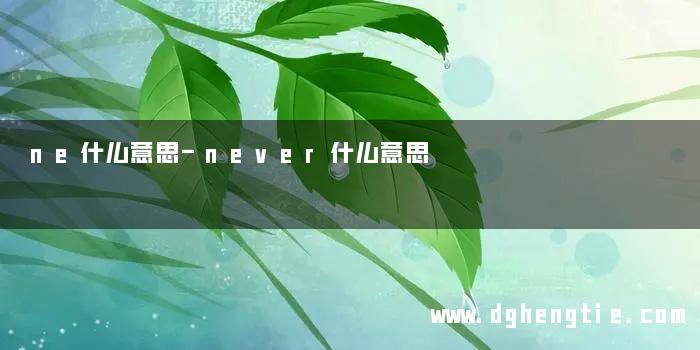 ne什么意思-never什么意思