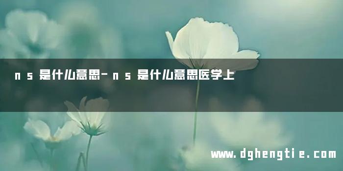ns是什么意思-ns是什么意思医学上