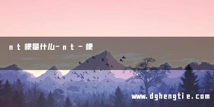 nt梗是什么-nt-梗