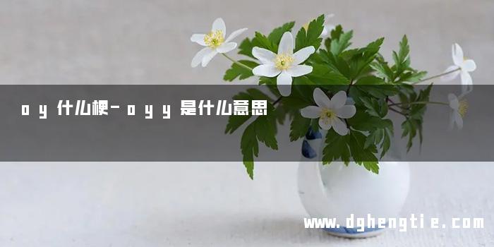 oy什么梗-oyy是什么意思