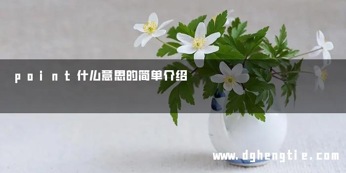 point什么意思的简单介绍