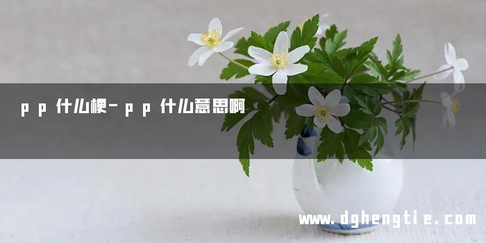 pp什么梗-pp什么意思啊