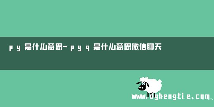 py是什么意思-pyq是什么意思微信聊天