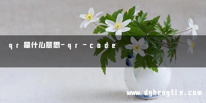qr是什么意思-qr-code