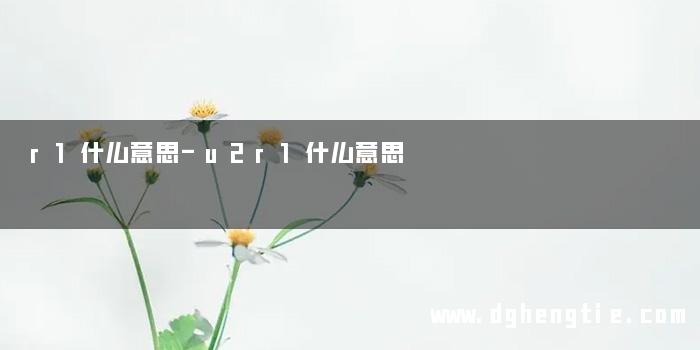 r1什么意思-u2r1什么意思