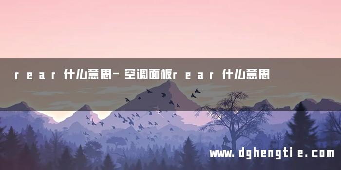 rear什么意思-空调面板rear什么意思