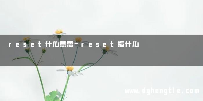 reset什么意思-reset指什么