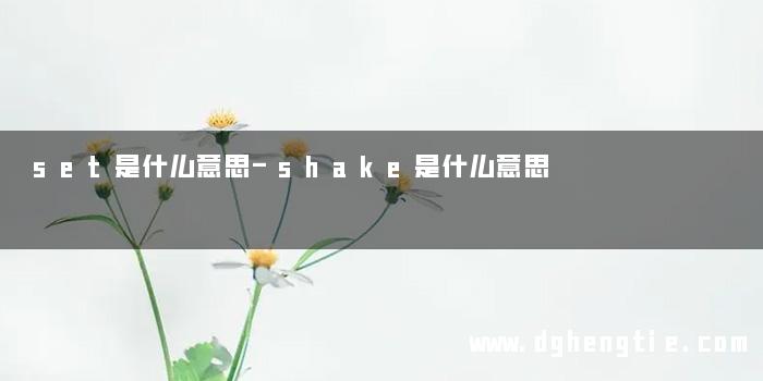 set是什么意思-shake是什么意思