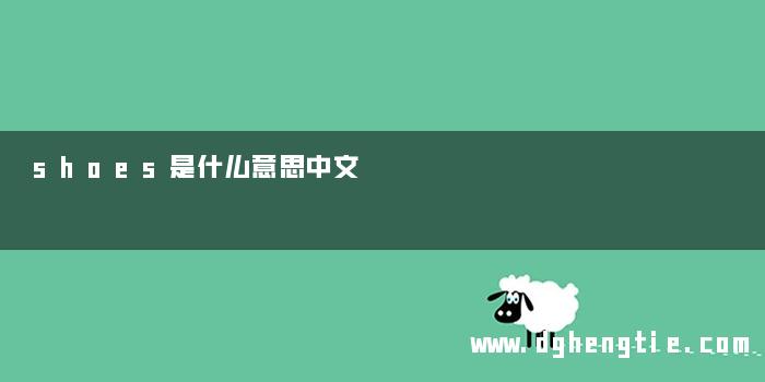 shoes是什么意思中文