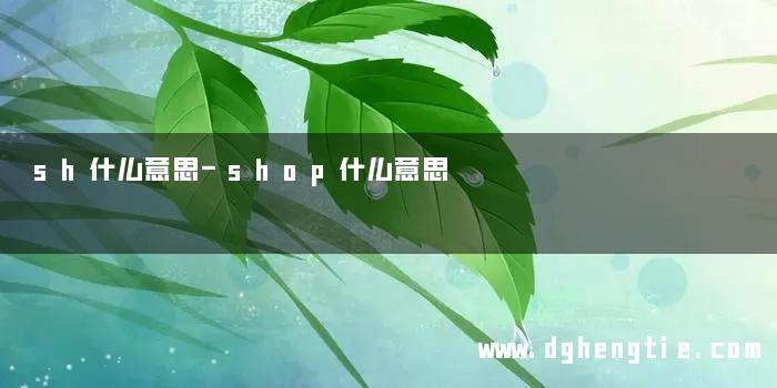 sh什么意思-shop什么意思